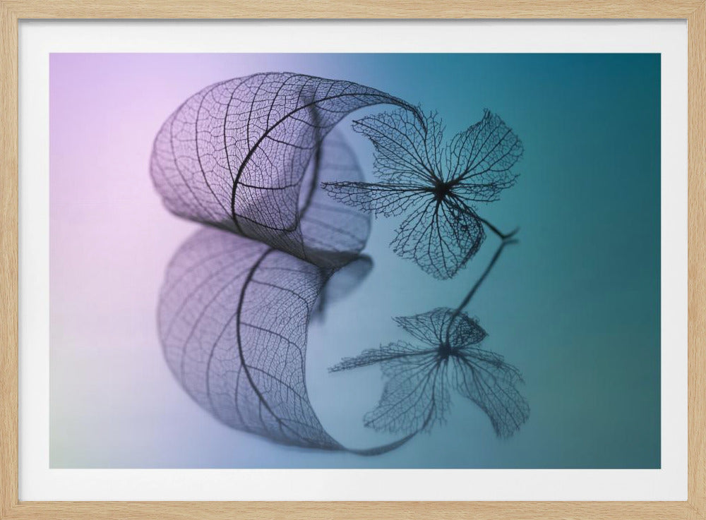 Geschichte von Blatt und Blüte | Poster - Kunstdruck