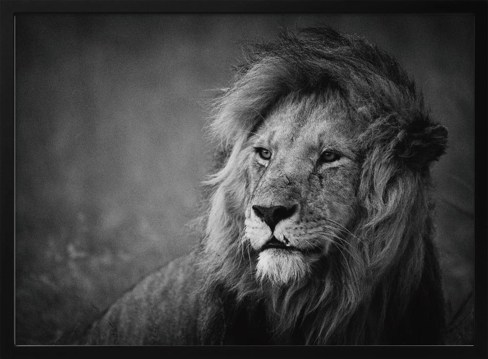 Royal | Posters - Affiche Artistique