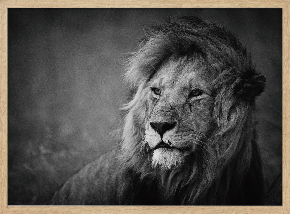Royal | Posters - Affiche Artistique