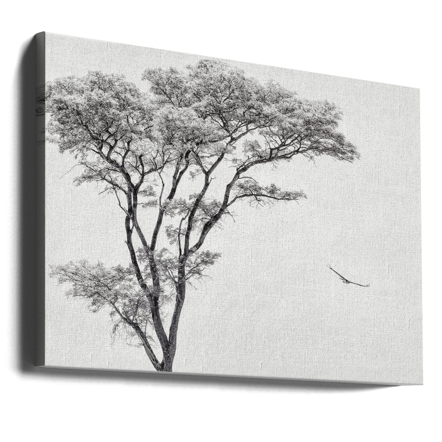 l'aigle africain | Tableaux sur Toile