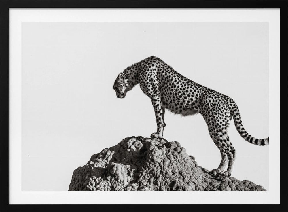 jægeren | Plakater - Kunsttryk