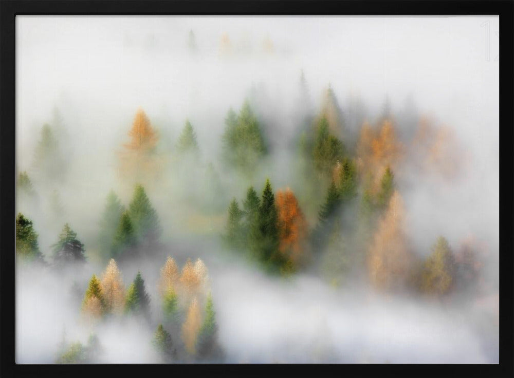 Sogno d'autunno | Poster - Stampe d’Arte