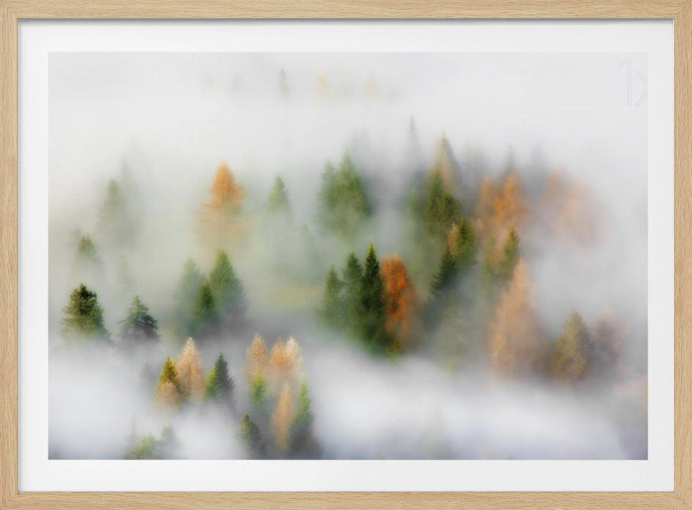 Sogno d'autunno | Poster - Stampe d’Arte