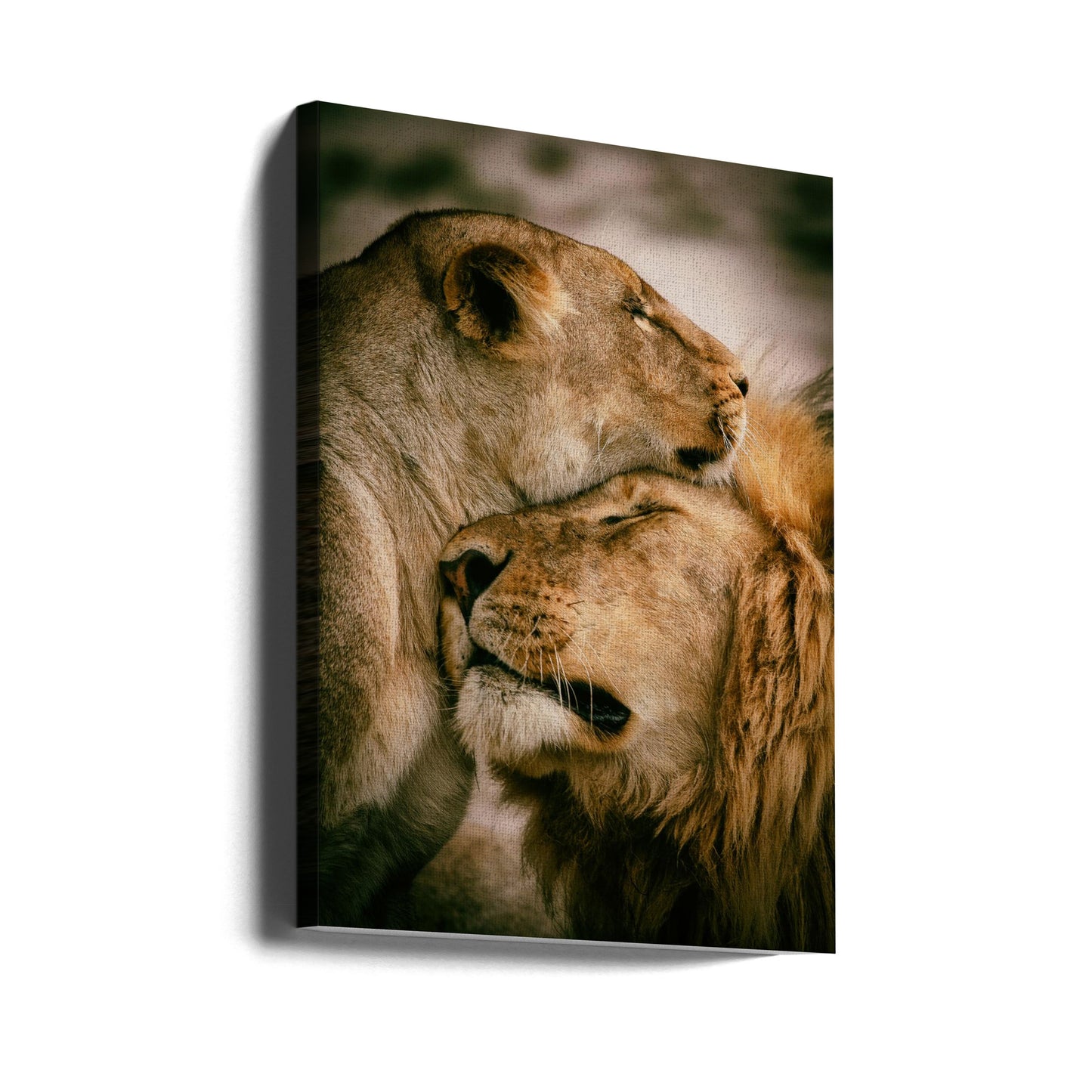 Wat is liefde | Canvasprints
