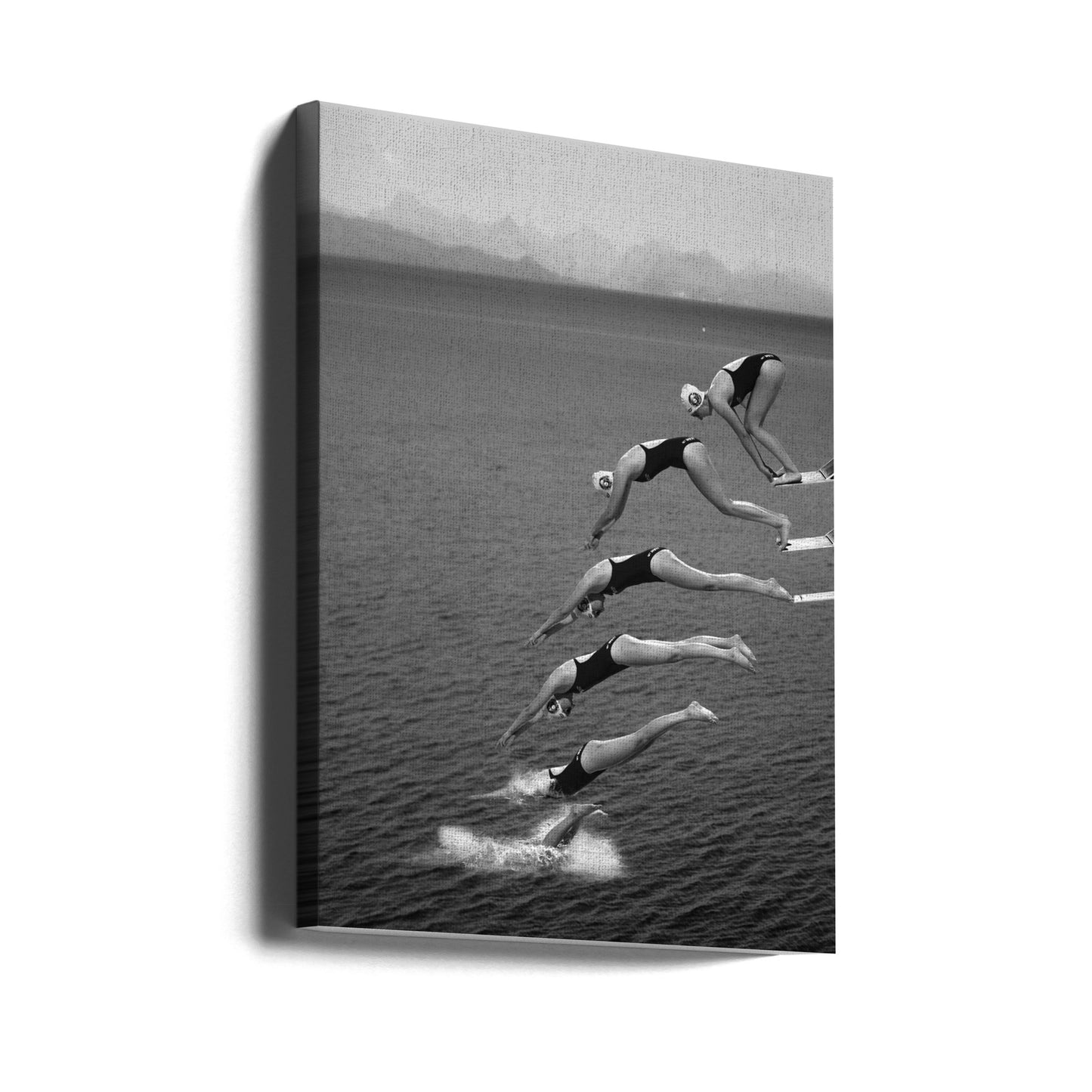 The beauty of diving | Canvas
