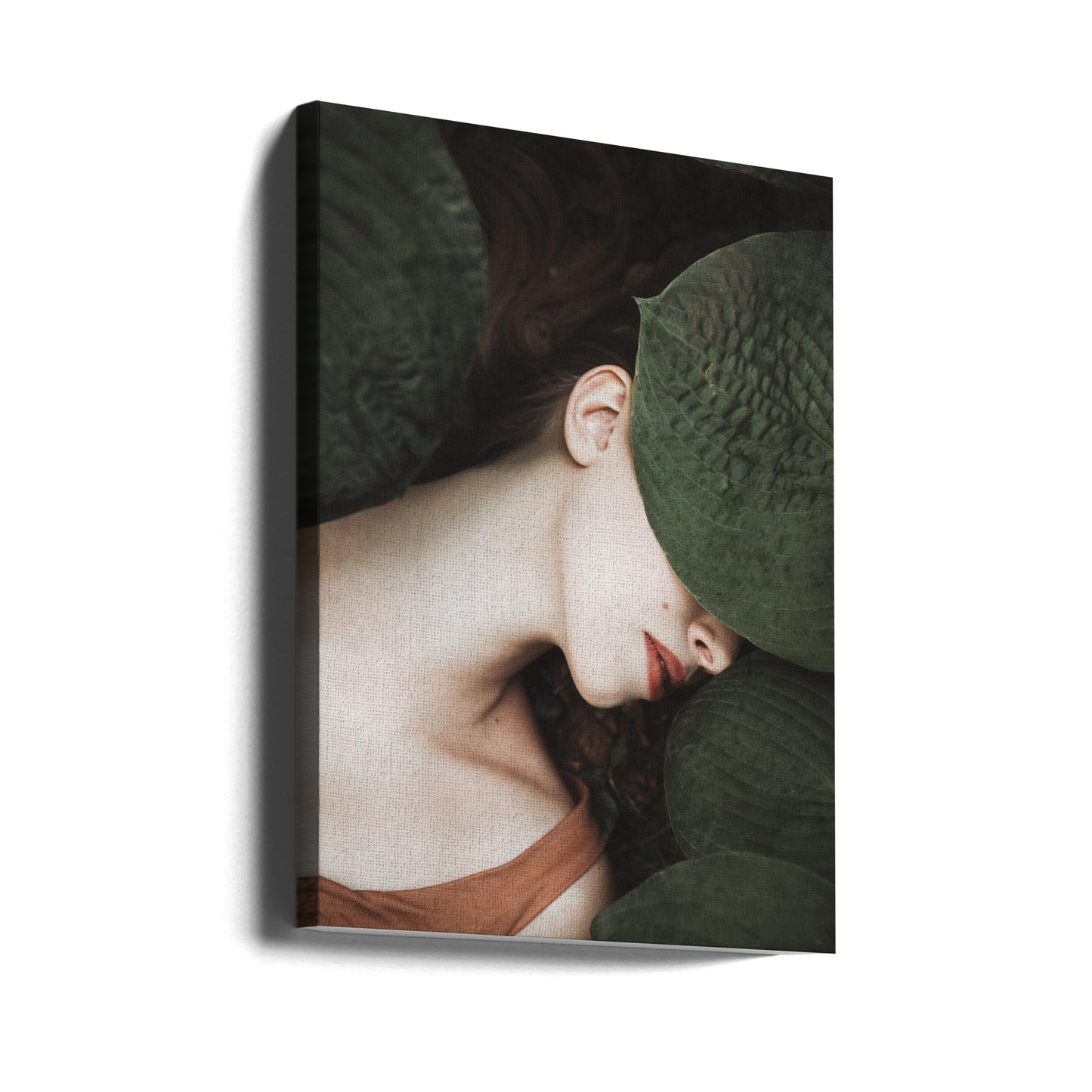 Ola | Canvas