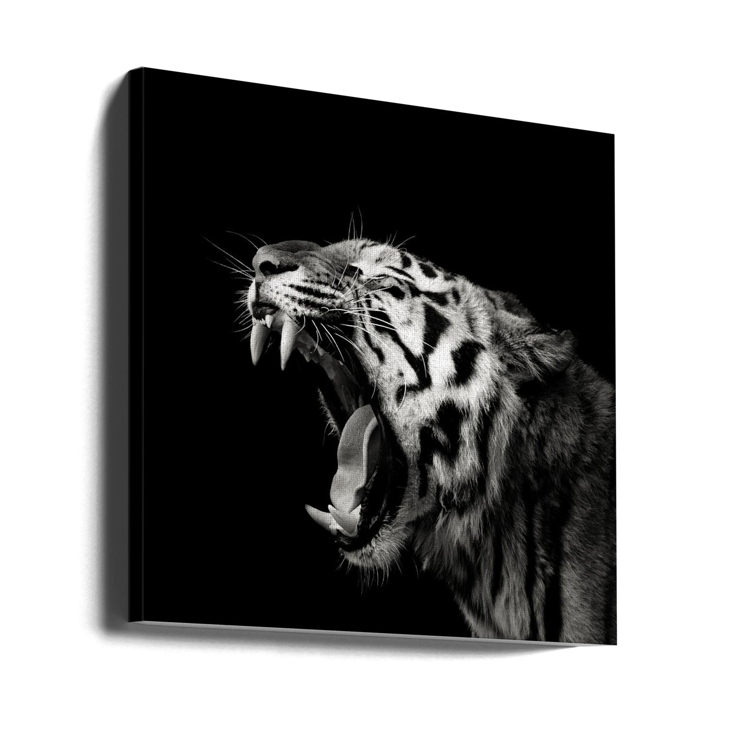 Primal Yawn #4 | Canvas