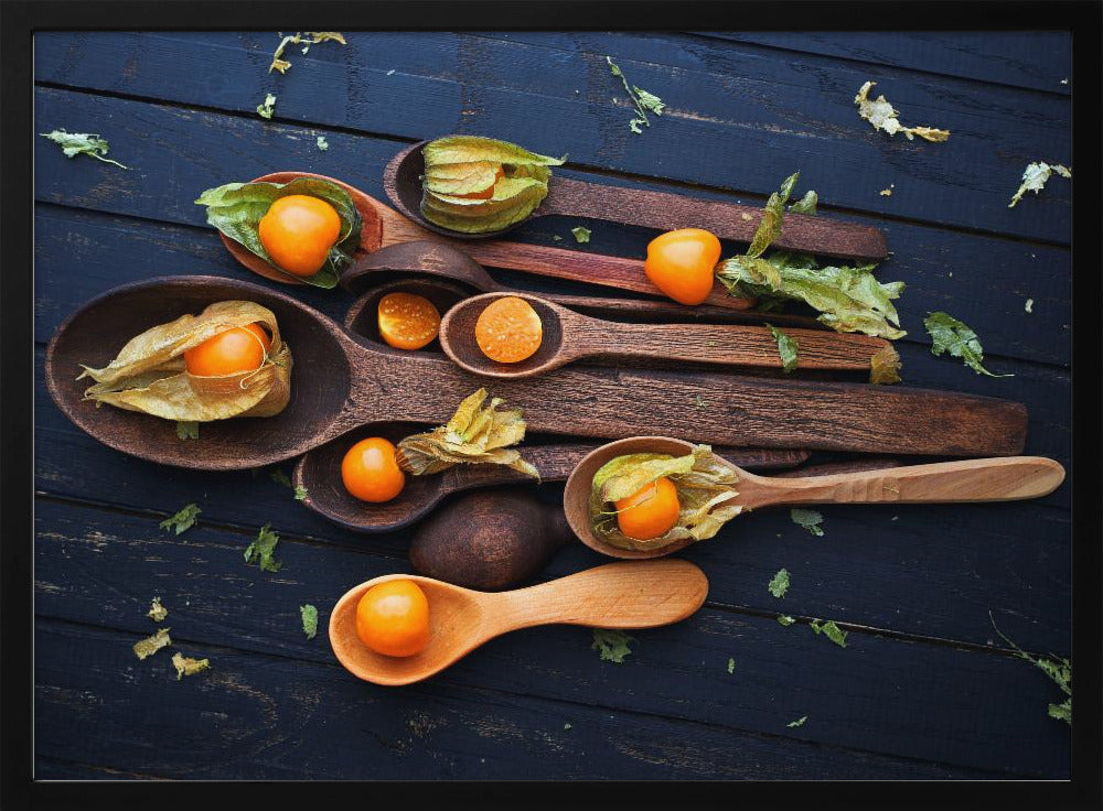 Skeer & Physalis | Plakater - Kunsttryk