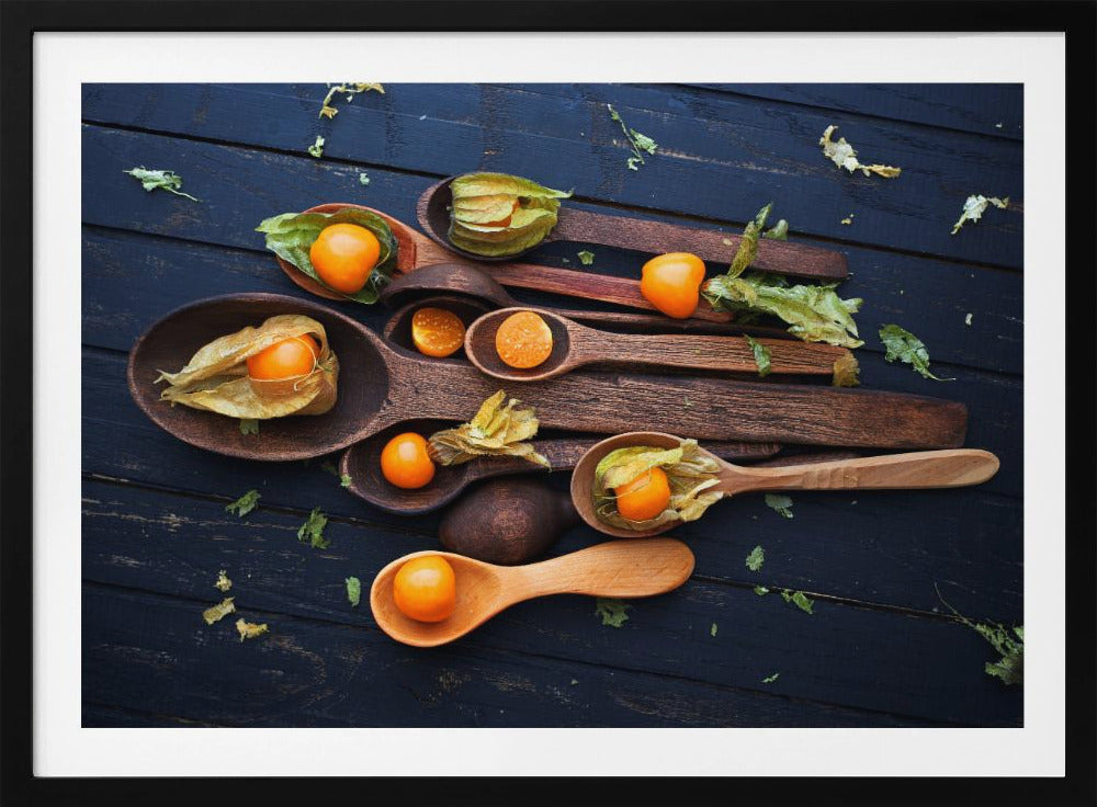 Skeer & Physalis | Plakater - Kunsttryk