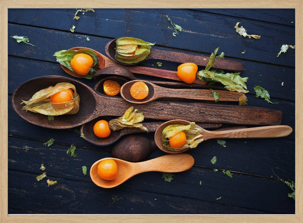 Skeer & Physalis | Plakater - Kunsttryk