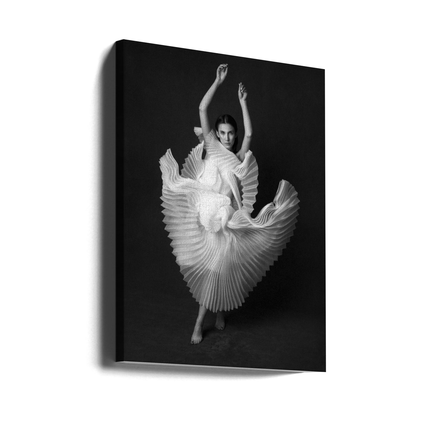 Le Lac des Cygnes | Tableaux sur Toile