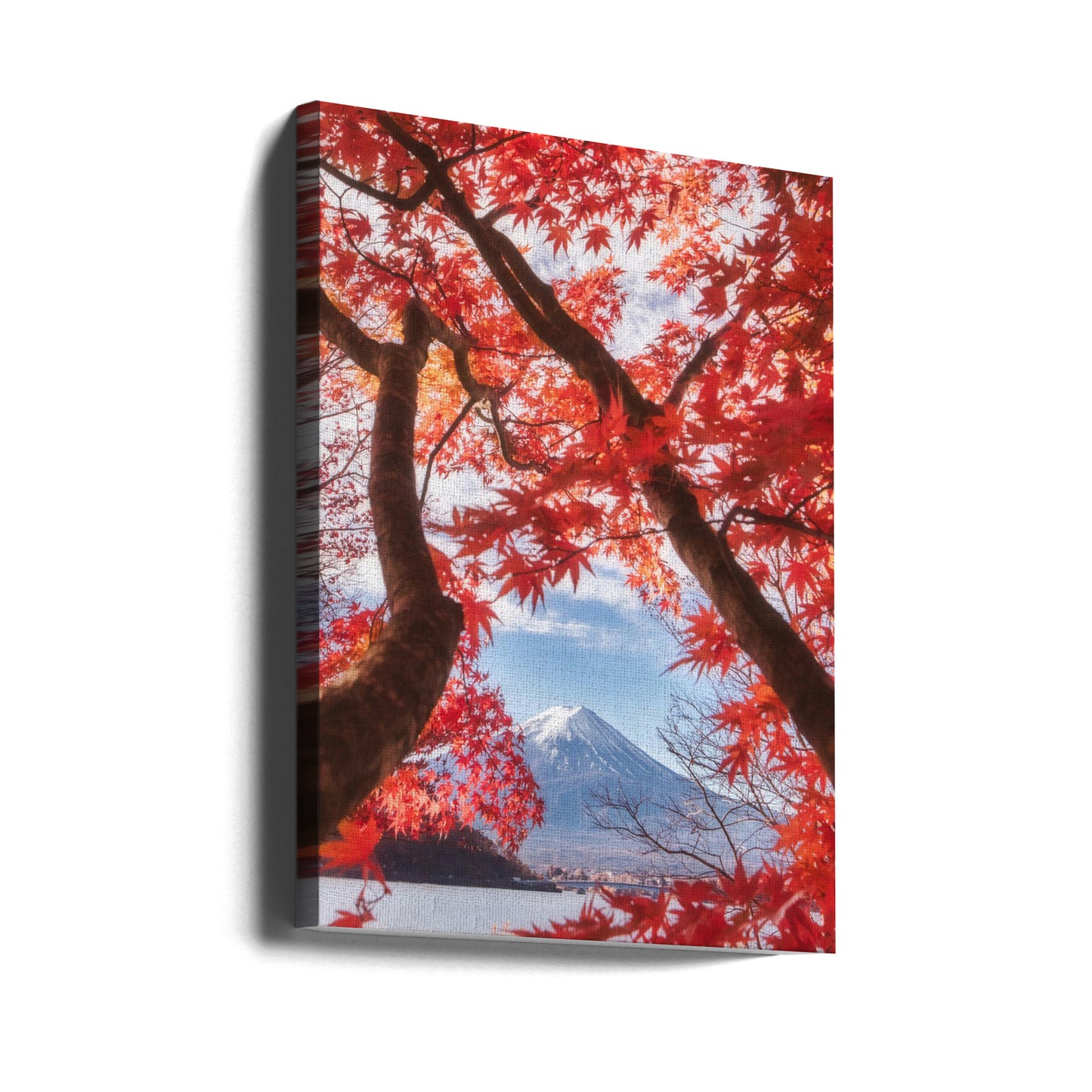 Mt.fuji is in the autumn leaves | Canvas