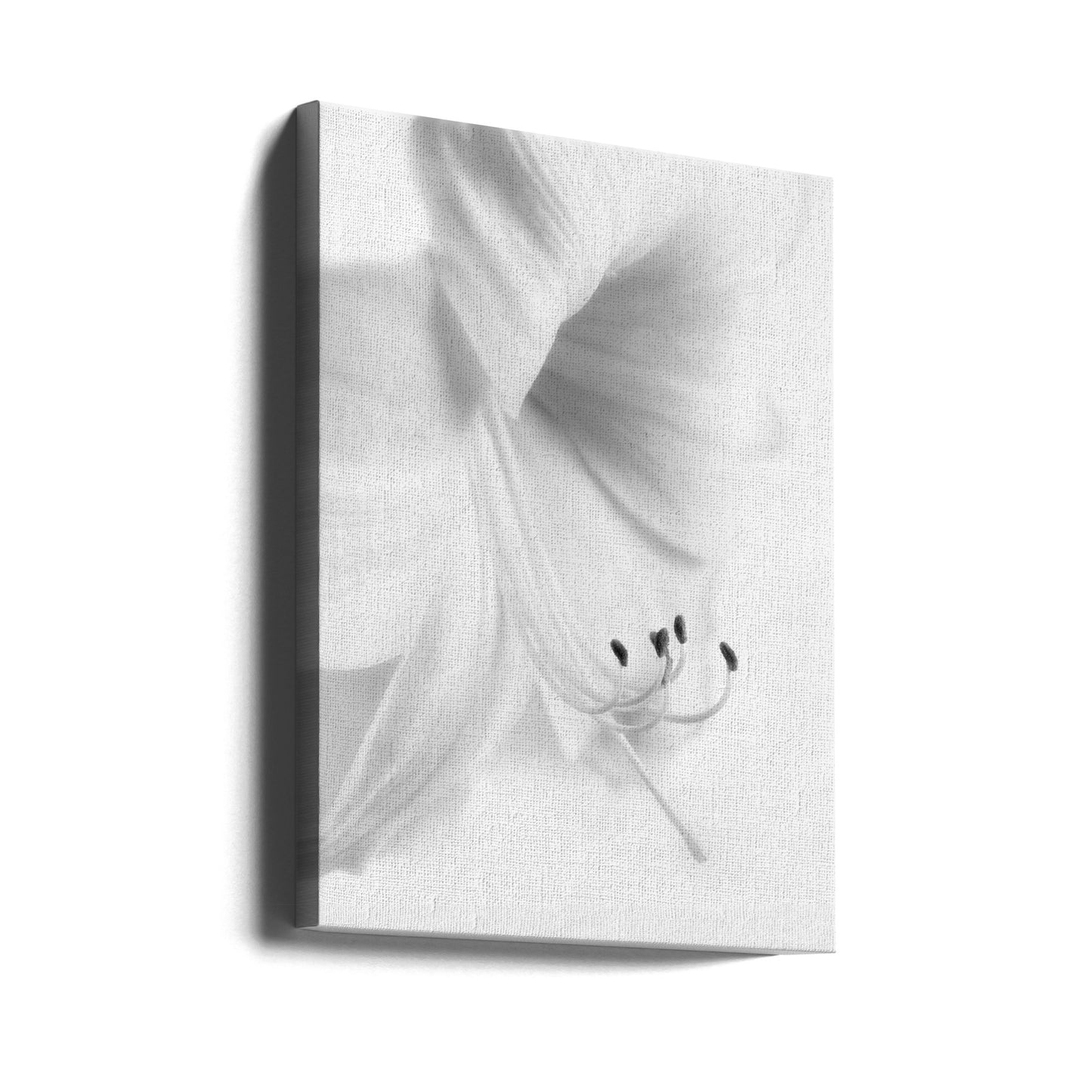 White on White | Canvas