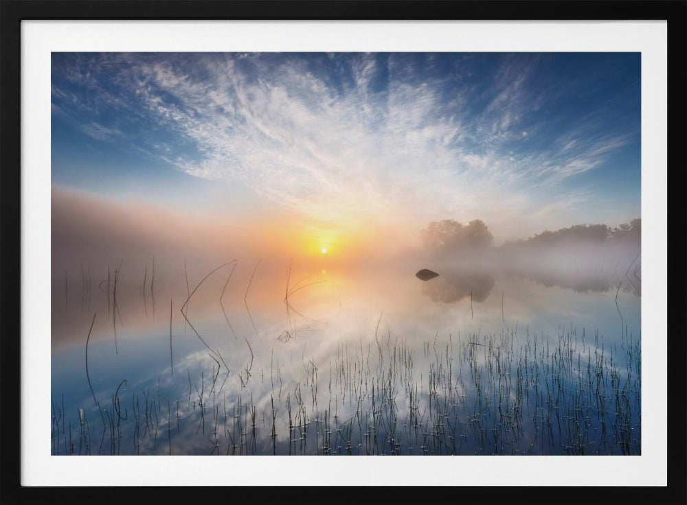 Riflessione | Poster - Stampe d’Arte