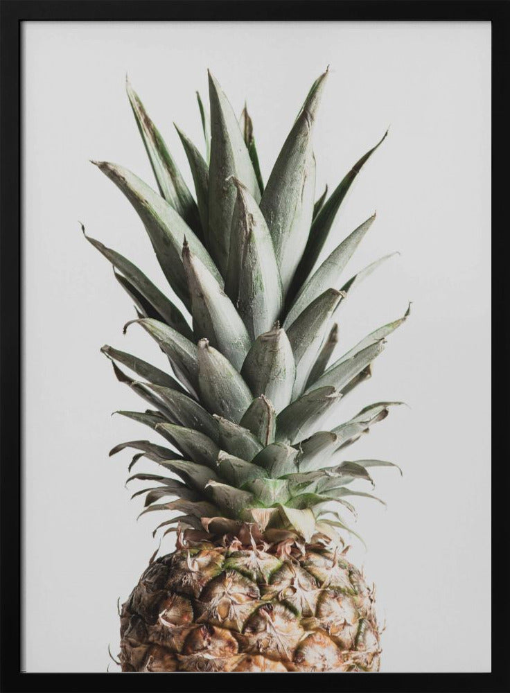 Pineapple Natural | Poster