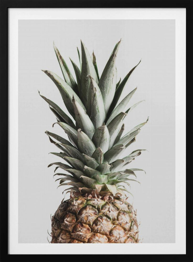 Pineapple Natural | Poster