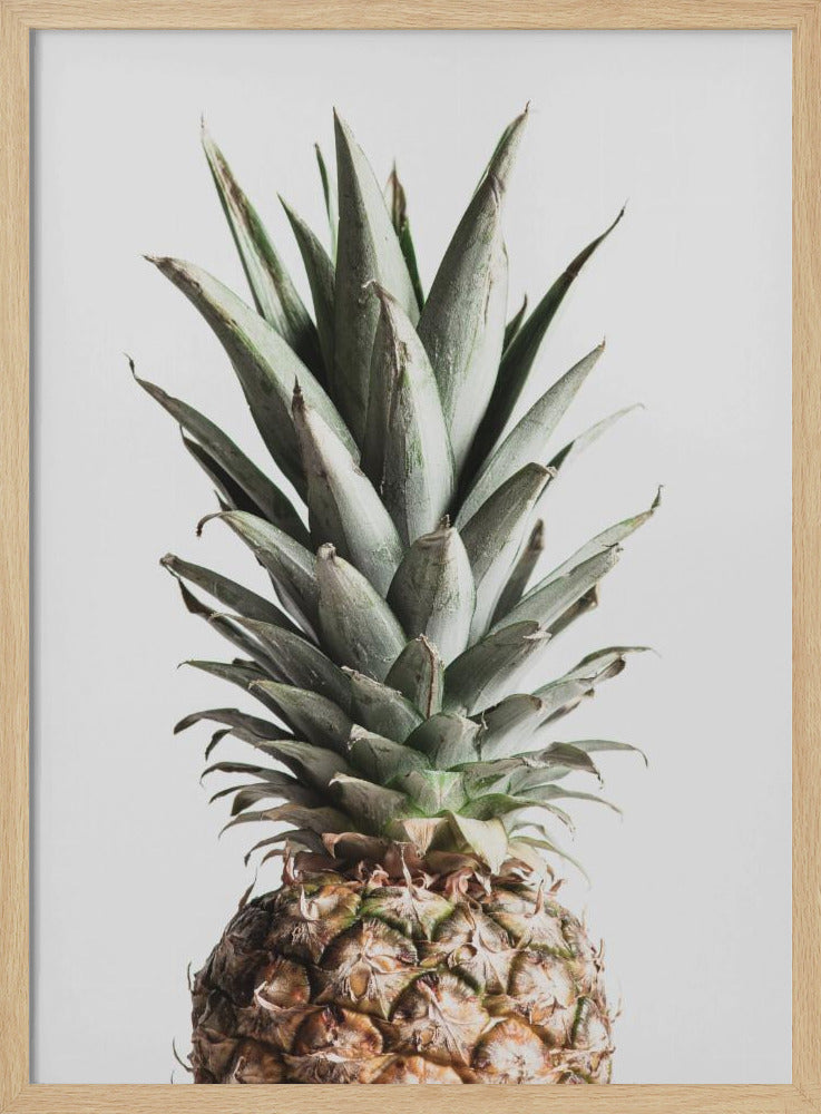 Pineapple Natural | Poster