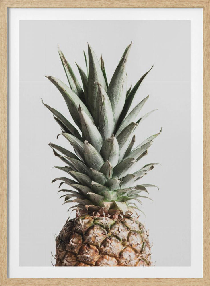Pineapple Natural | Poster