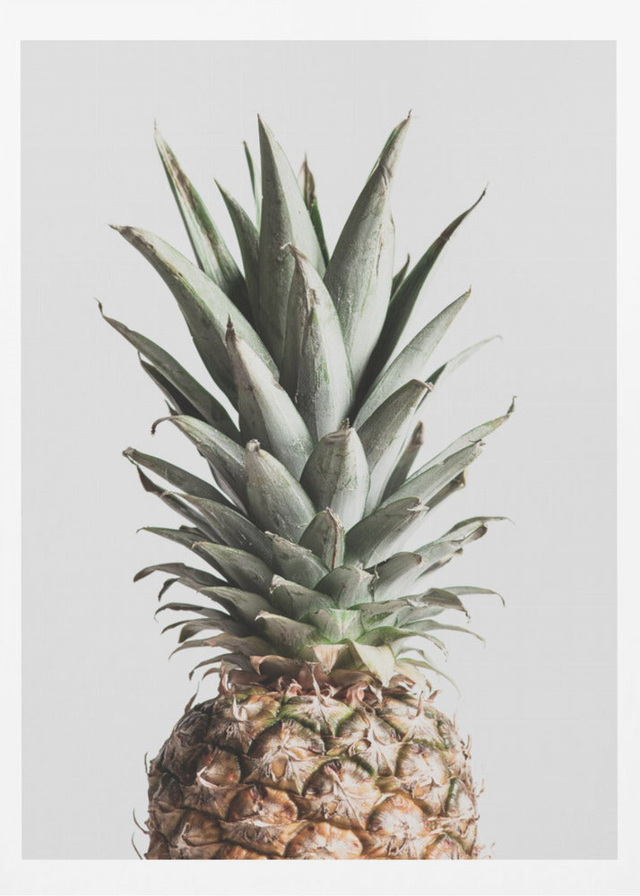 Pineapple Natural | Poster