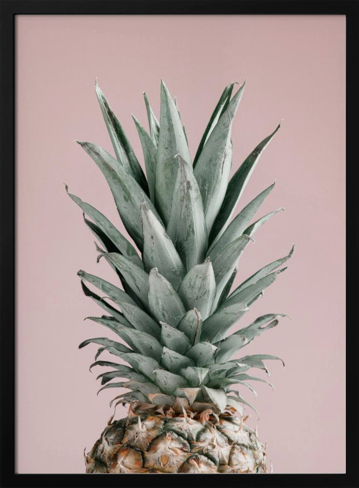 Pineapple Pink 02 | Poster