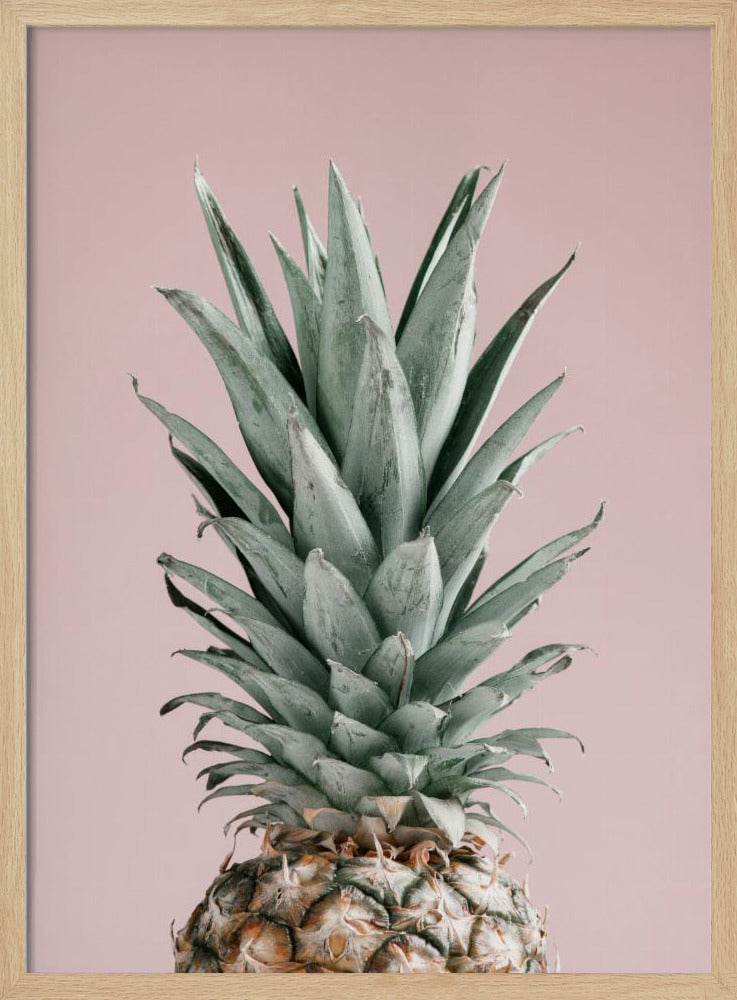 Pineapple Pink 02 | Poster