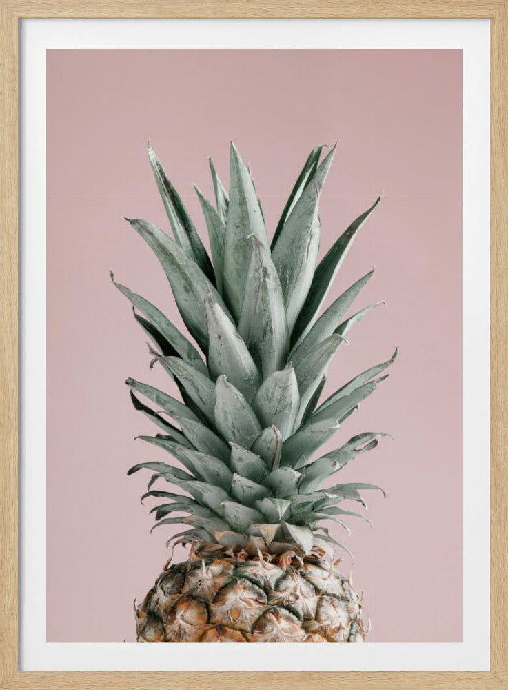 Pineapple Pink 02 | Poster