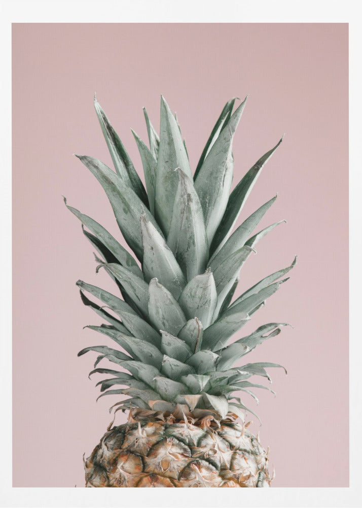 Pineapple Pink 02 | Poster
