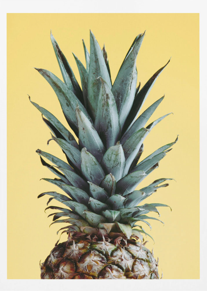 Pineapple Yellow 01 | Poster