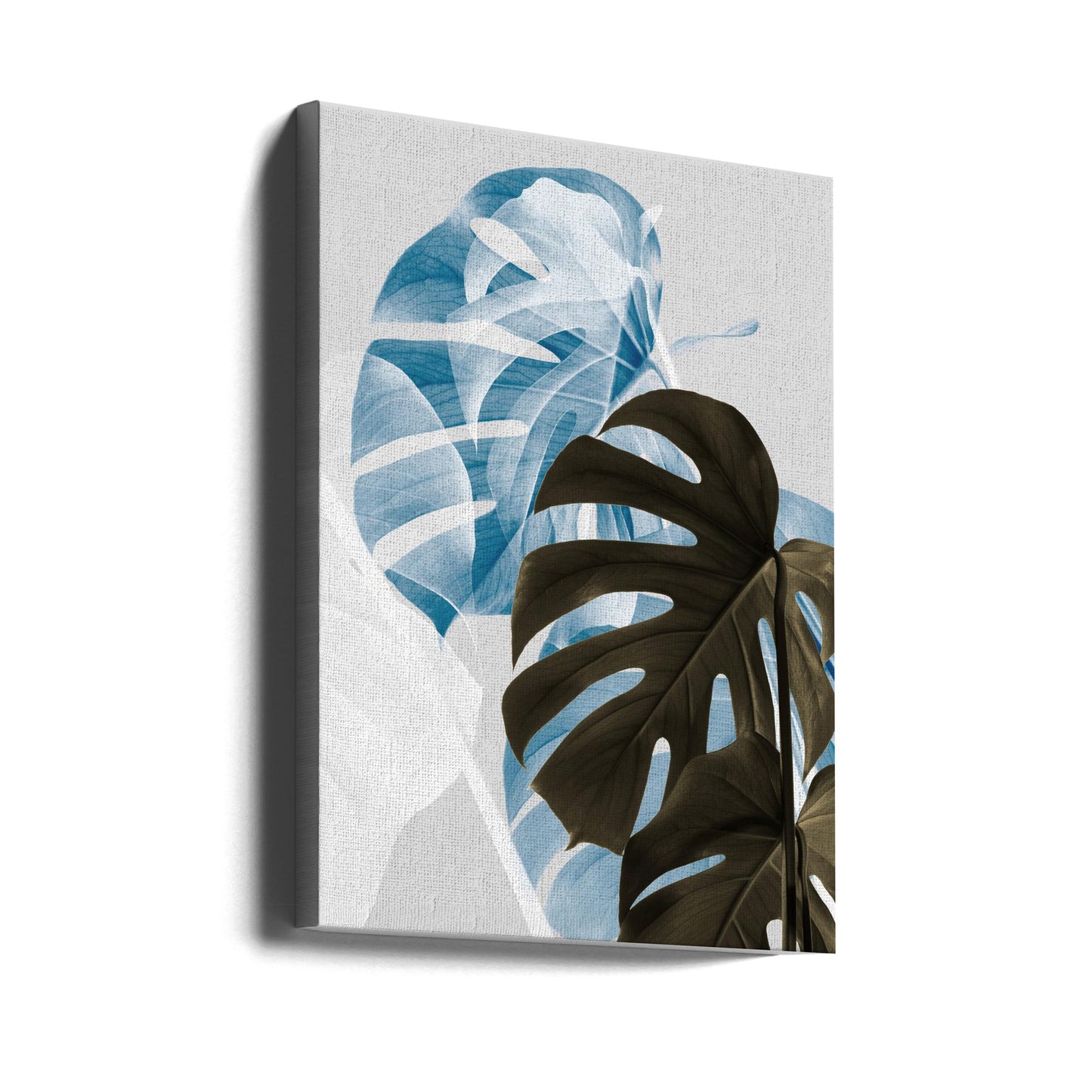 Monstera Creative 02 | Leinwand-Bilder