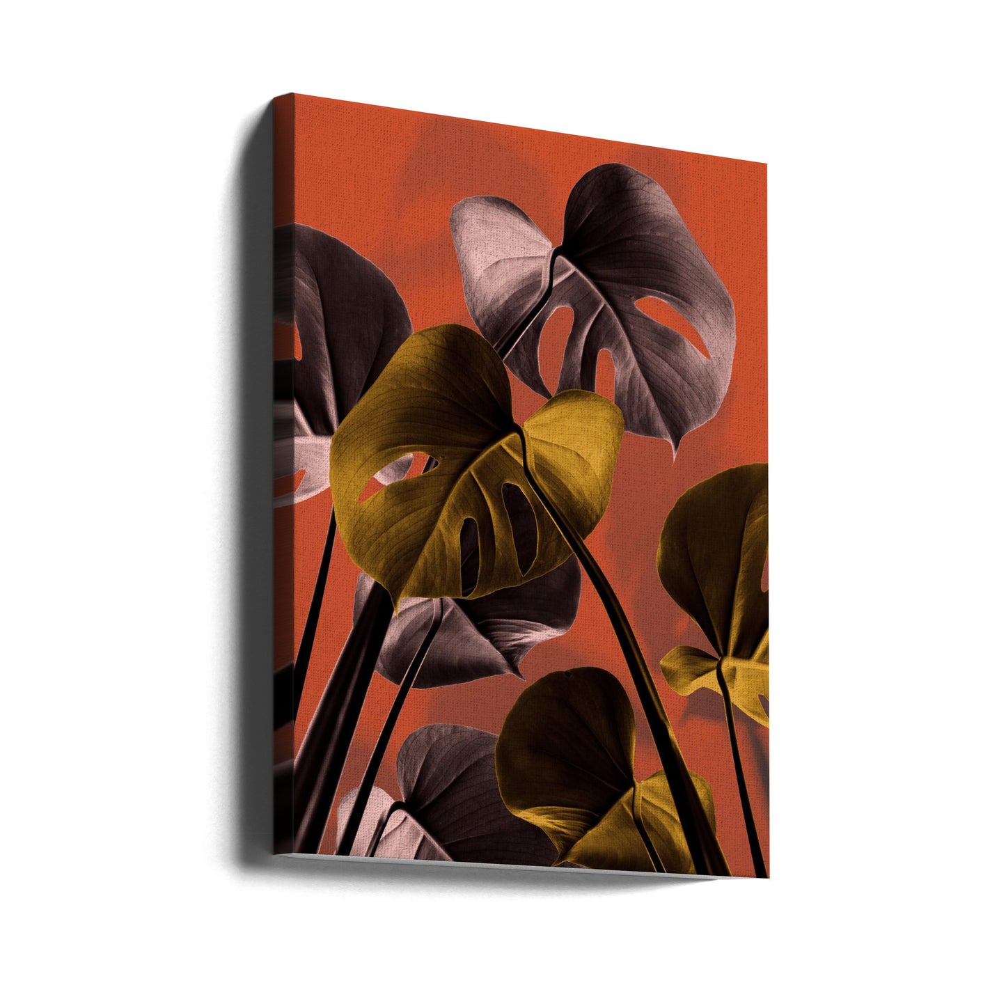 Monstera Oransje 01 | Lerretsbilder