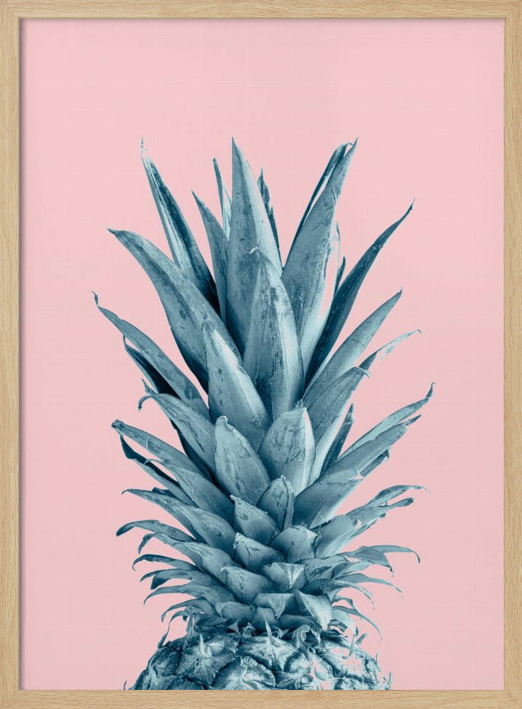 Pineapple Pink 06 | Poster
