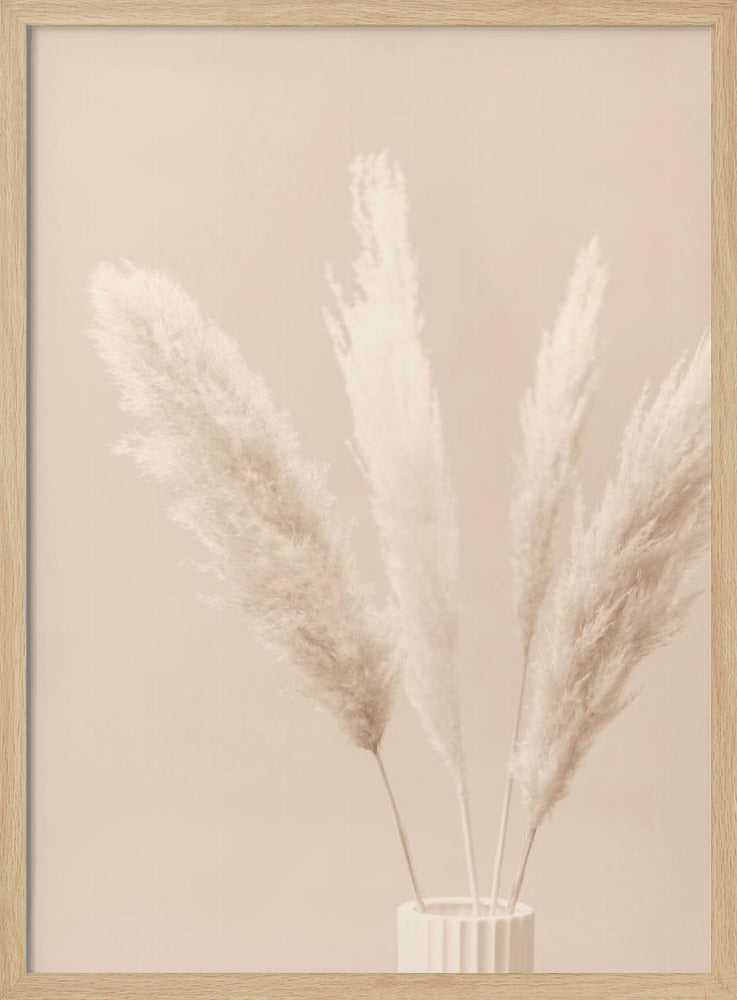 Pampas Grass Beige 05 | Poster