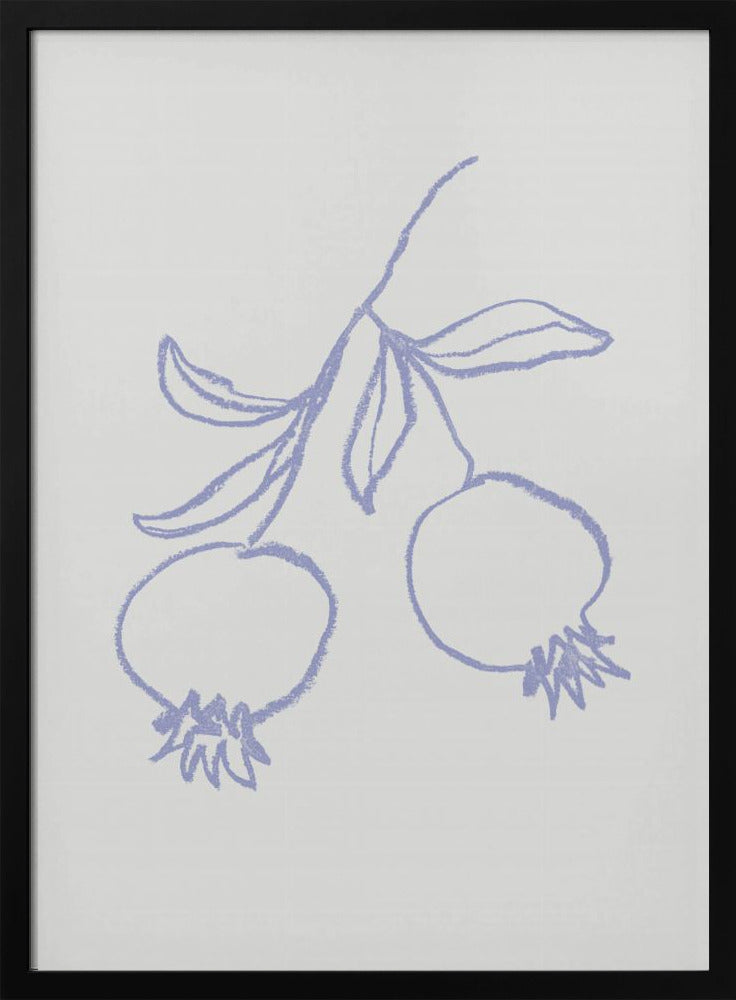 Pomegranate Lilac | Poster