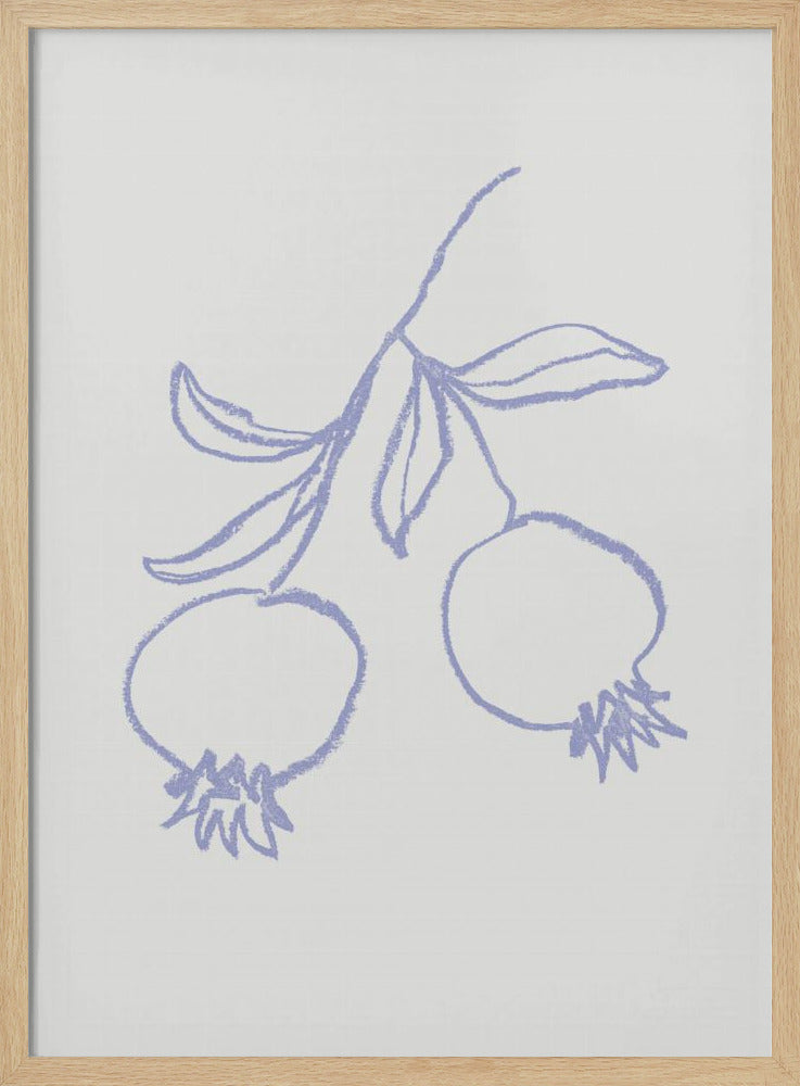 Pomegranate Lilac | Poster