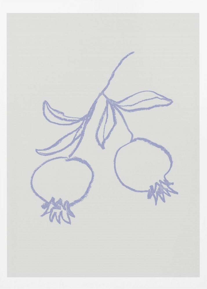 Pomegranate Lilac | Poster
