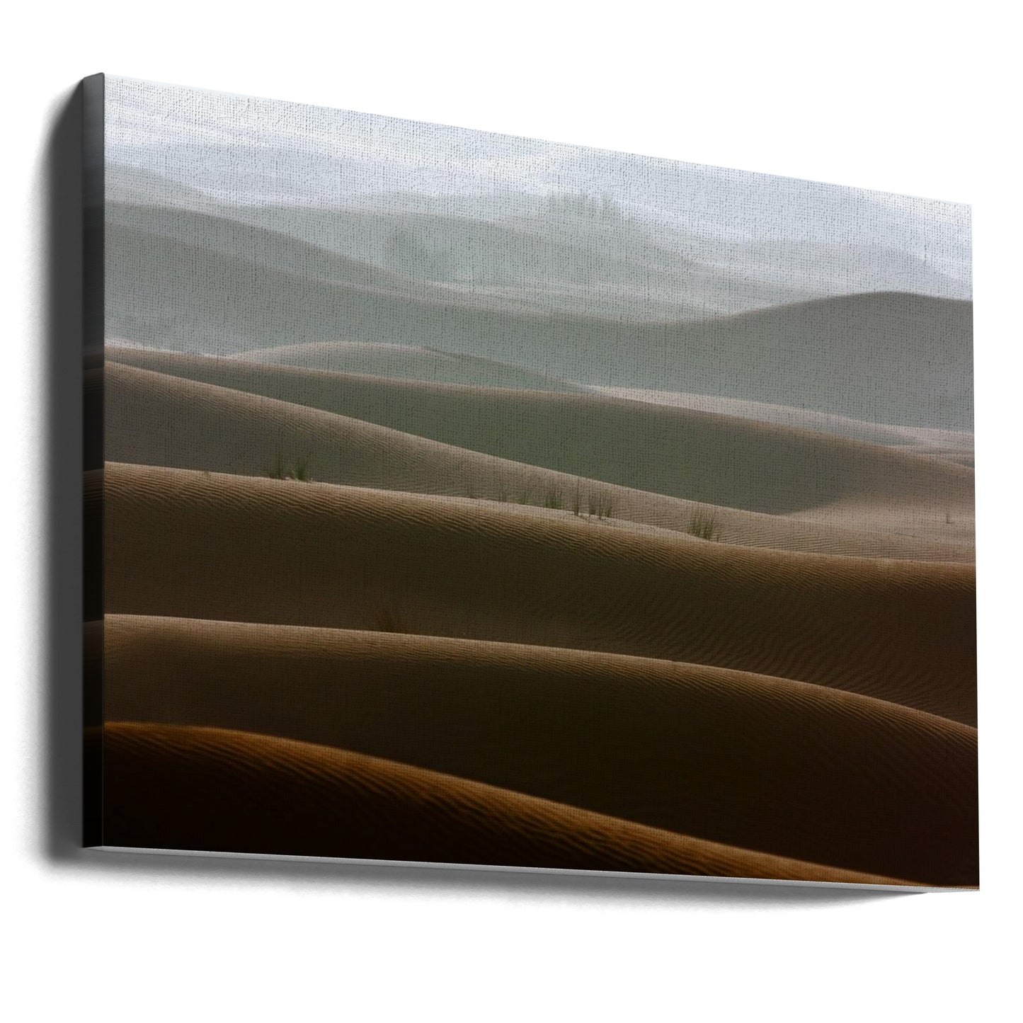 Foggy morning | Canvas