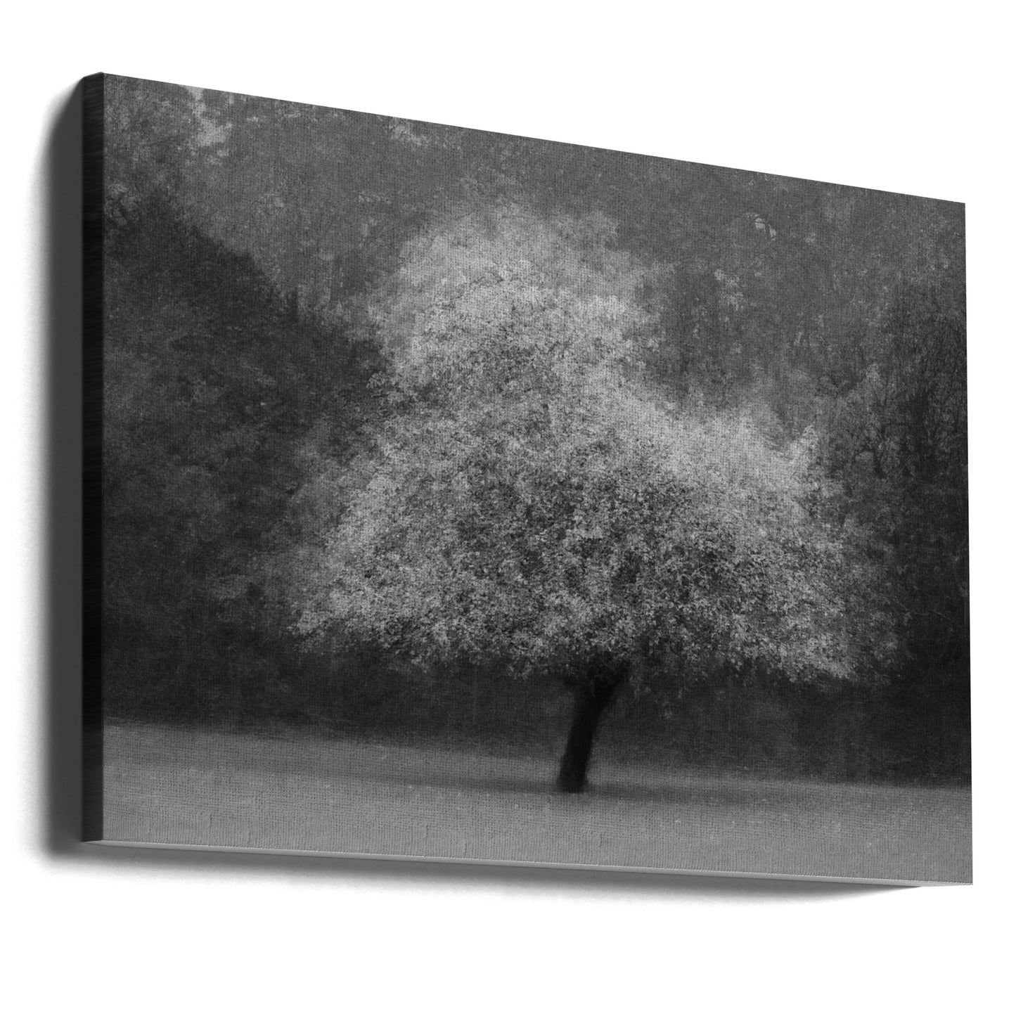 Tree magic | Canvas
