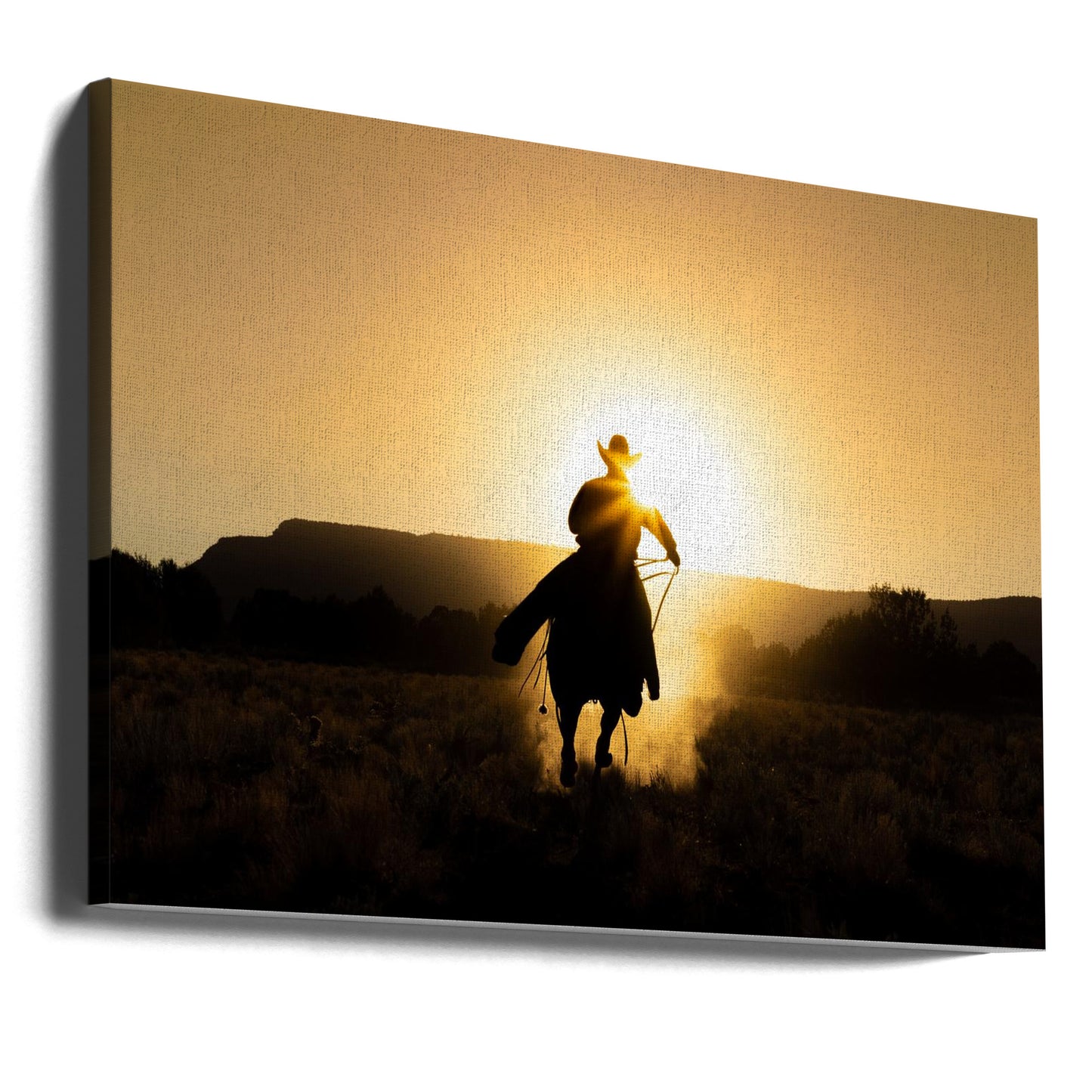 Il Cowboy | Stampe su Tela