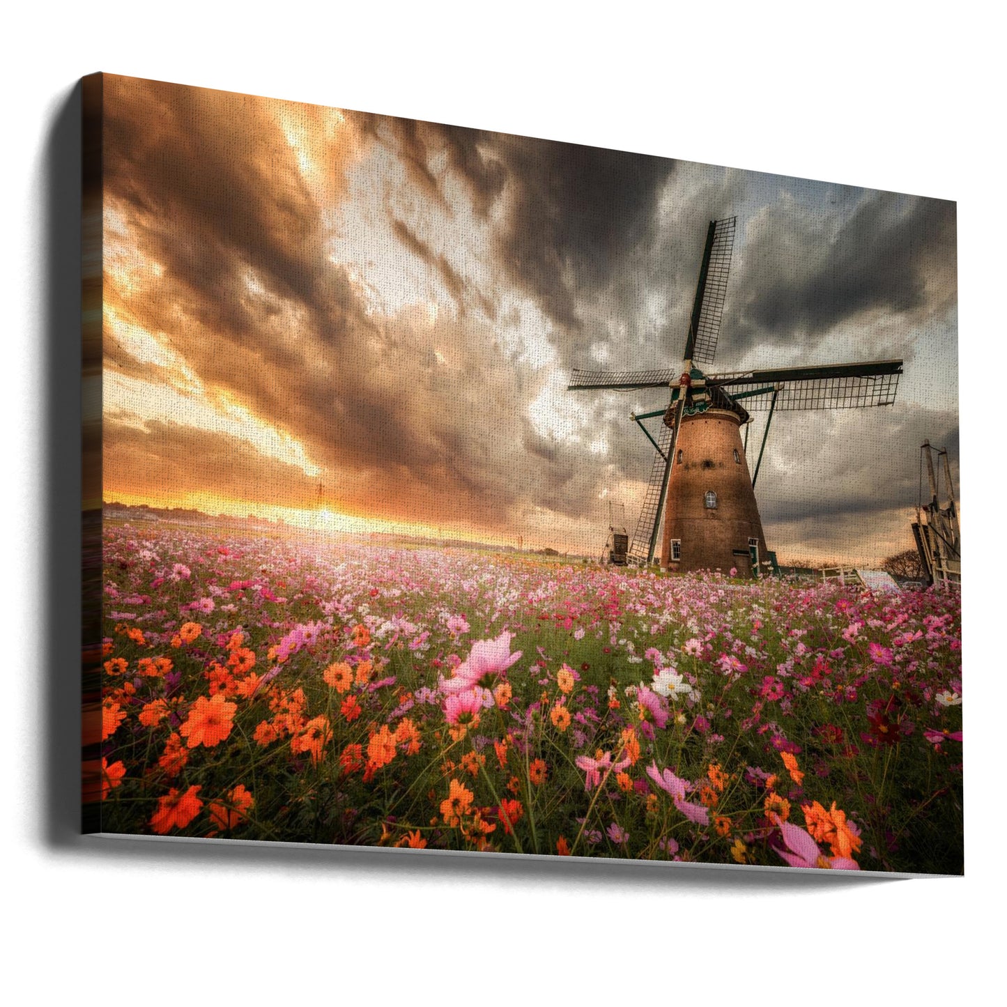Storslagen blomstervärld | Canvas