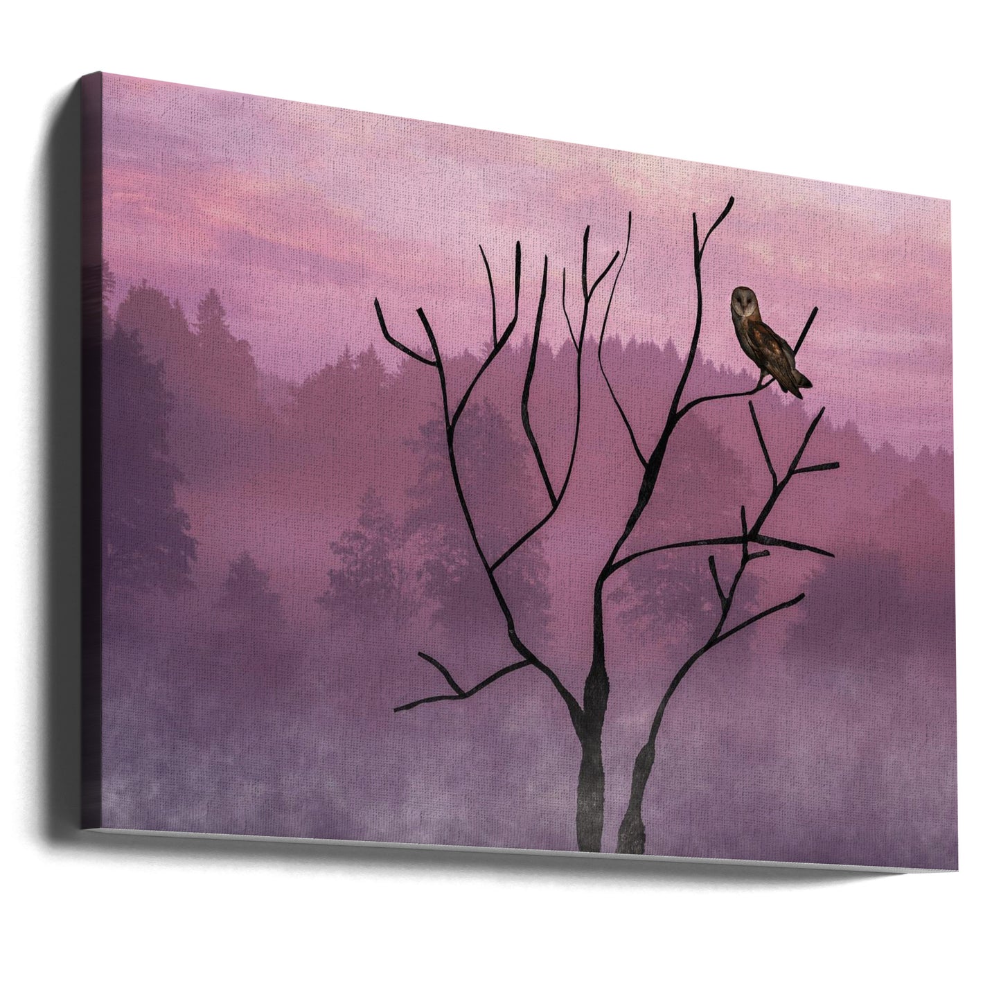 Rosa himmel på morgonen | Canvas