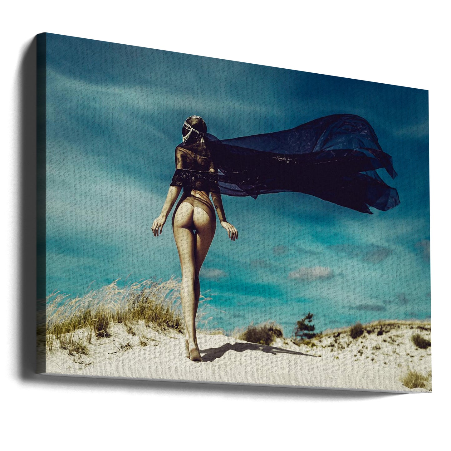 Meesteres van de Duin | Canvasprints