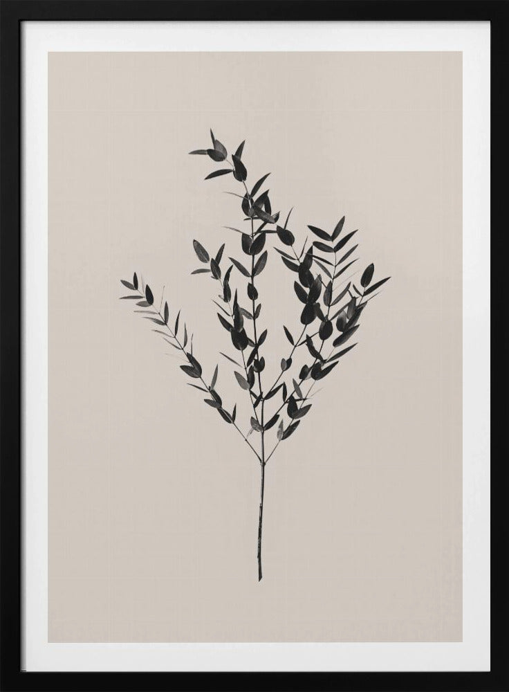 Bläckig botanisk | Poster