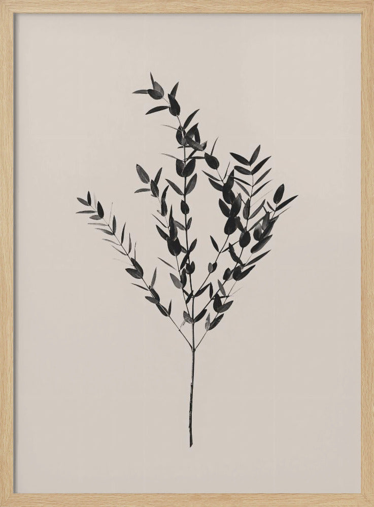 Bläckig botanisk | Poster