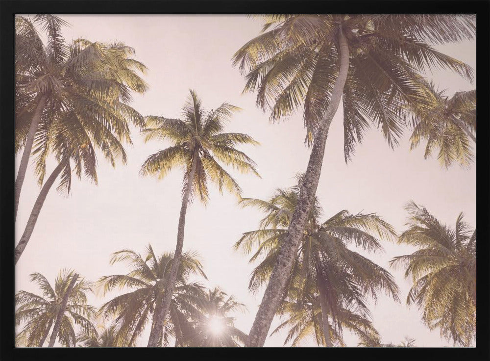 Blush Palmer | Plakater - Kunsttryk