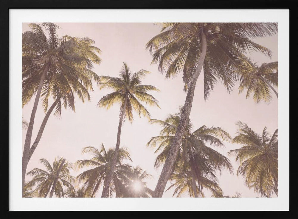 Blush Palmer | Plakater - Kunsttryk