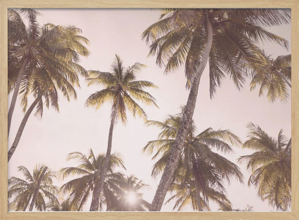 Blush Palmer | Plakater - Kunsttryk