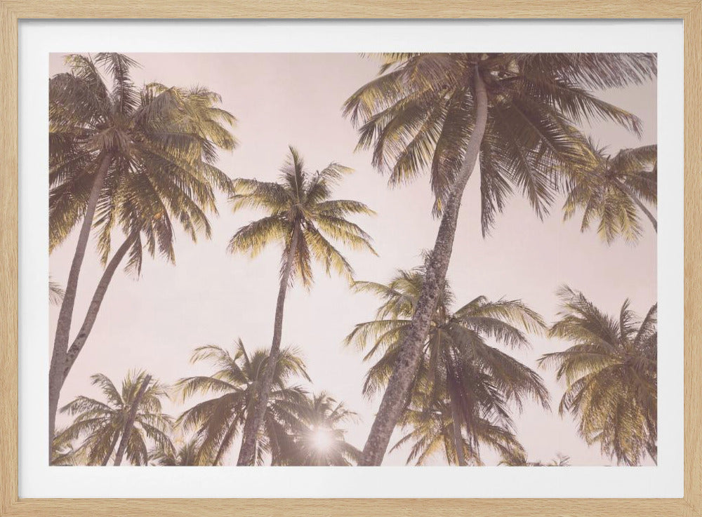 Blush Palmer | Plakater - Kunsttryk