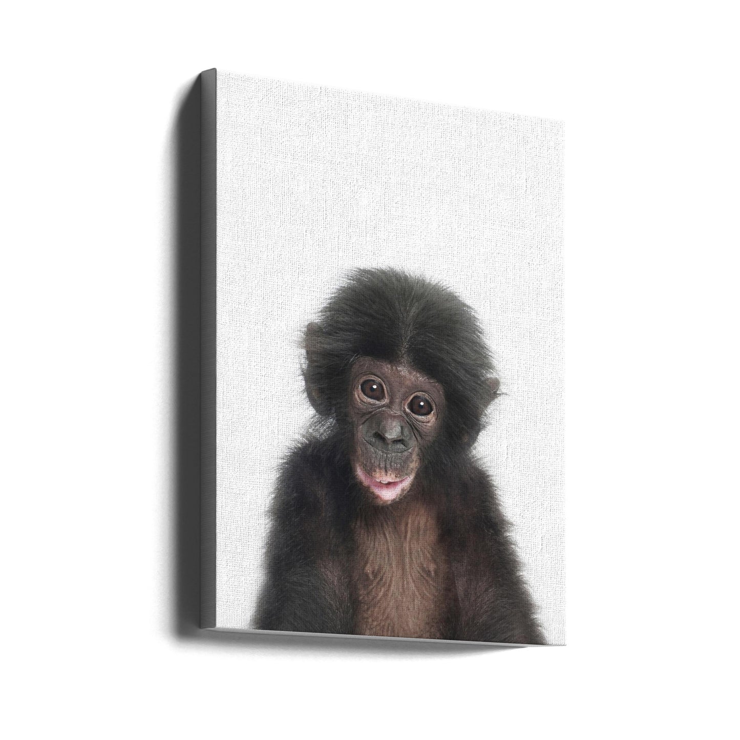 Bébé singe | Tableaux sur Toile