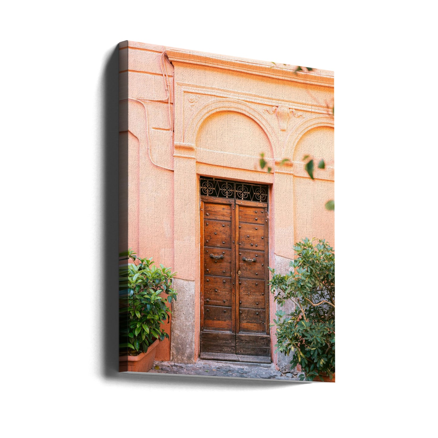 The Trastevere door || | Canvas