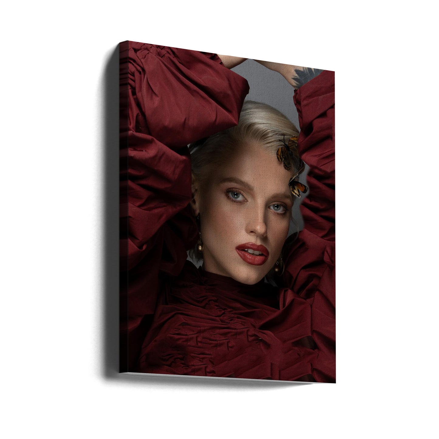 Een prachtige vlinder | Canvasprints